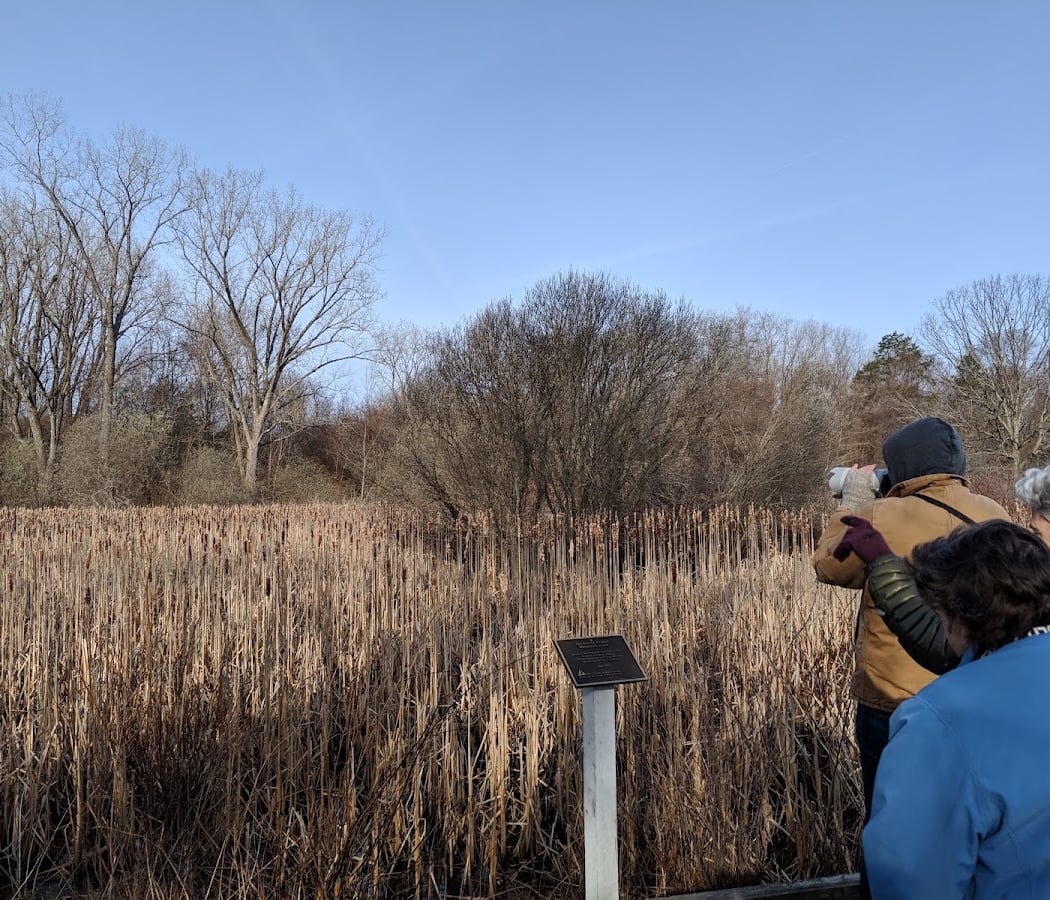 Juneteenth Bird Walk 1